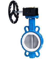 PTFE Seat Gear Butterfly Valve