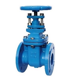 DIN Metal Seated NRS Gate Valve