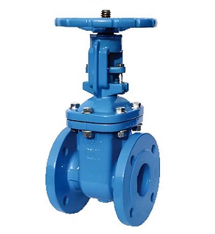 DIN Metal Seated RS Gate Valve