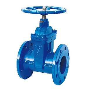 BS Resilient Seated NRS Gate Valve