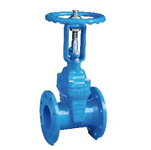 BS Resilient Seated RS Gate Valve