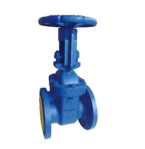 BS Metal Seated RS Gate Valve
