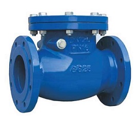 DIN Swing Check Valve