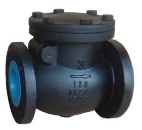 ANSI Swing Check Valve
