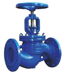 DIN Globe Valve